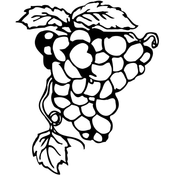 FRUIT017 Thumbnail