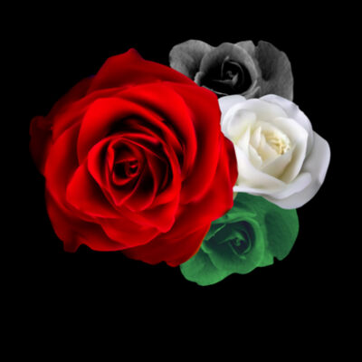 Palestine Roses - C-Force Kids Unisex Classic Tee Design