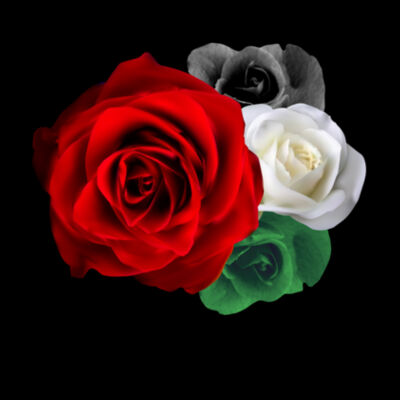 Palestine Roses - Cloke Mens Outline Tee Design