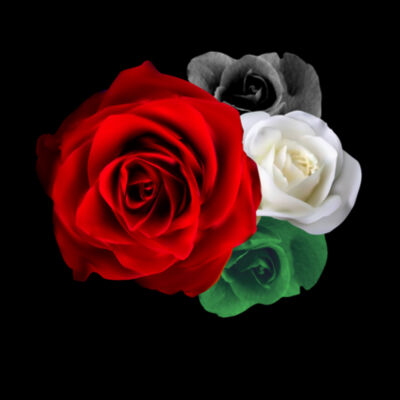 Palestine Roses - AS Colour Mens Block T shirt Design