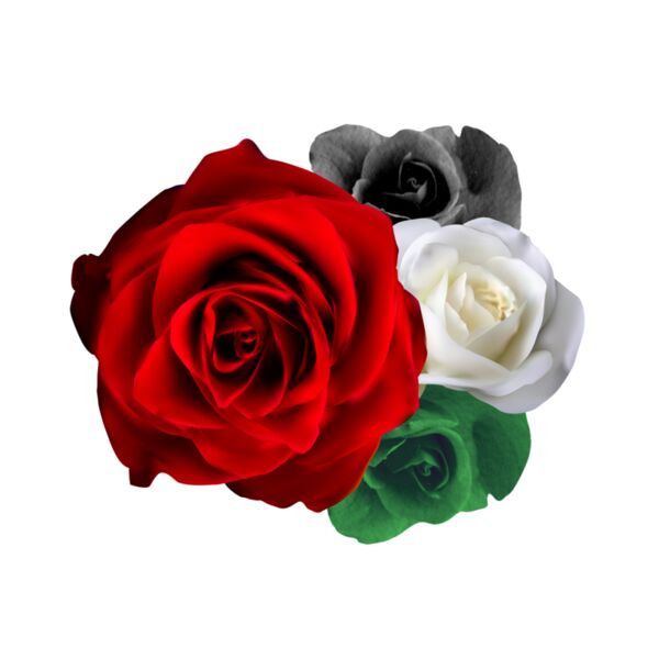 Palestine roses  40 x 45 cm  Thumbnail