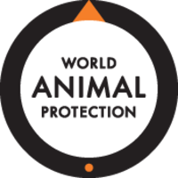World Animal Protection Thumbnail